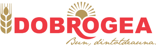 2020INC logo